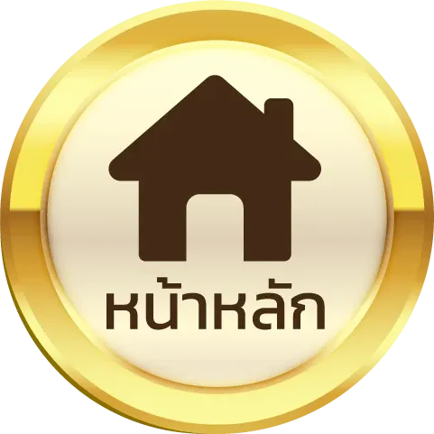 huaydung 100
