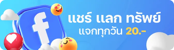 huaydung 100